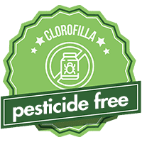 pesticide-free-1