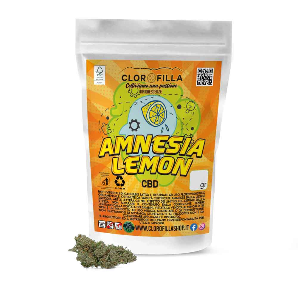 Amnesia Lemon Cbd cannabis light coltivata outdoor in Italia azienda agricola CLorofilla