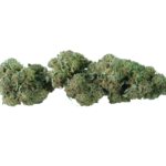 cannabis light clorofilla cheeseberry cbd