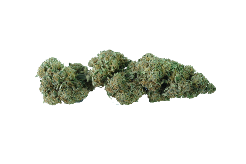 cannabis light clorofilla cheeseberry cbd