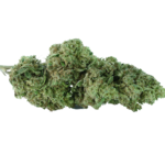 erba legale cbd mango clorofilla