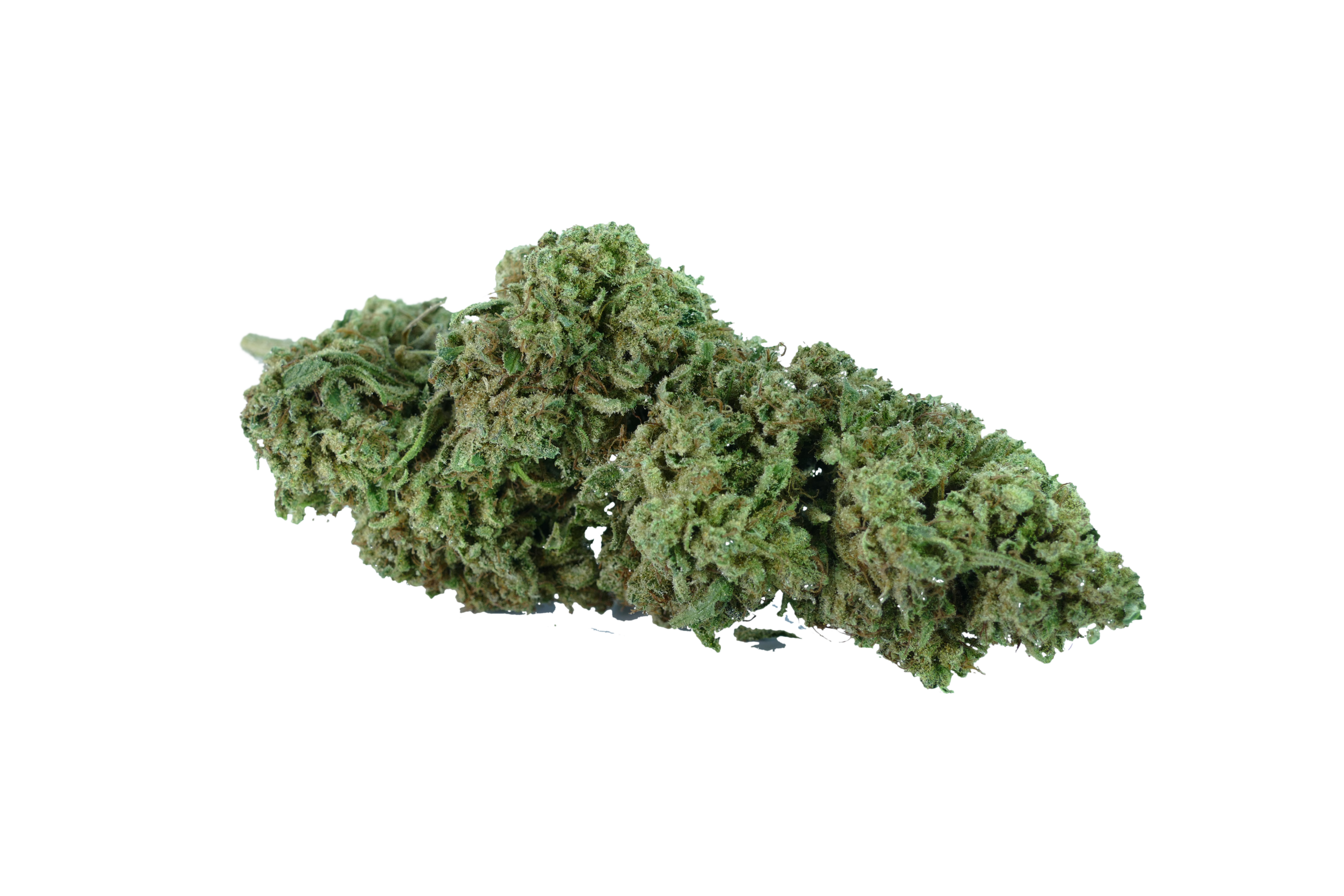 cannabis light cbd thc mango clorofilla