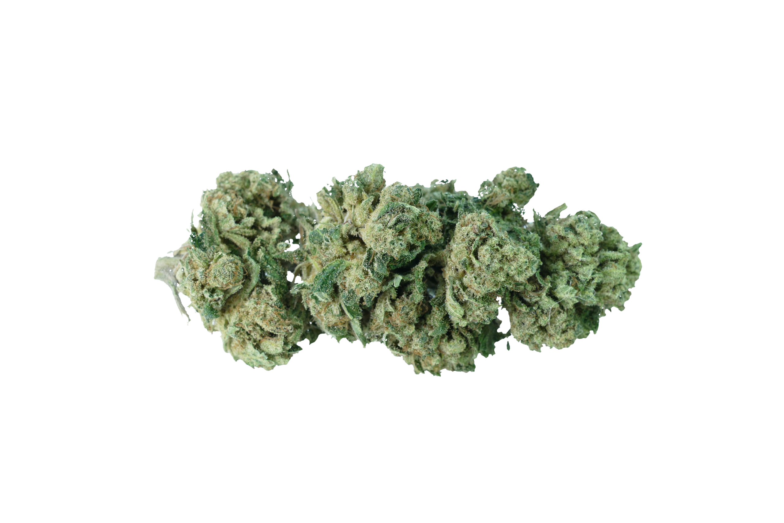 cannabis light cbd northwest