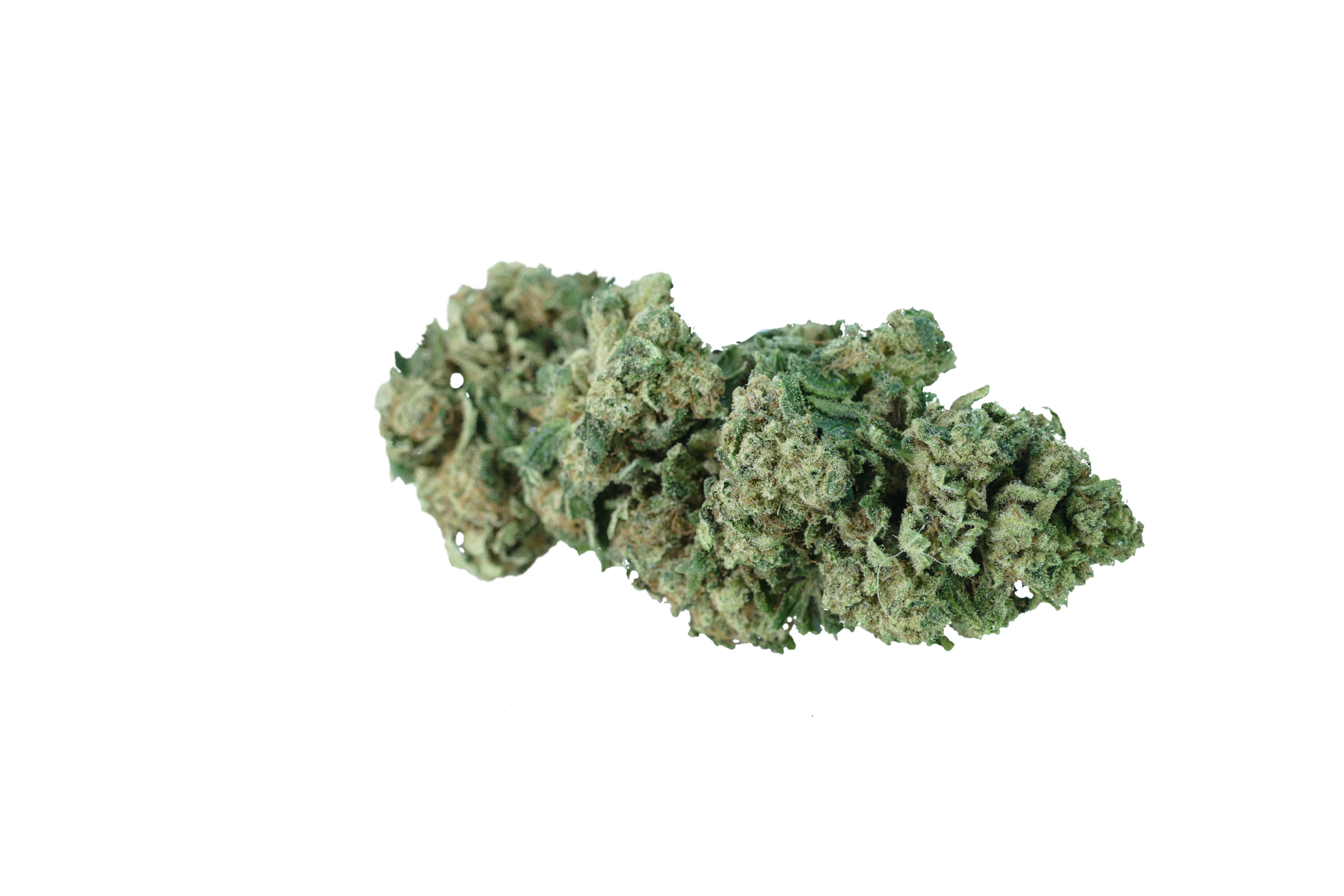 erba legale ad alto contento di cbd thc northwest