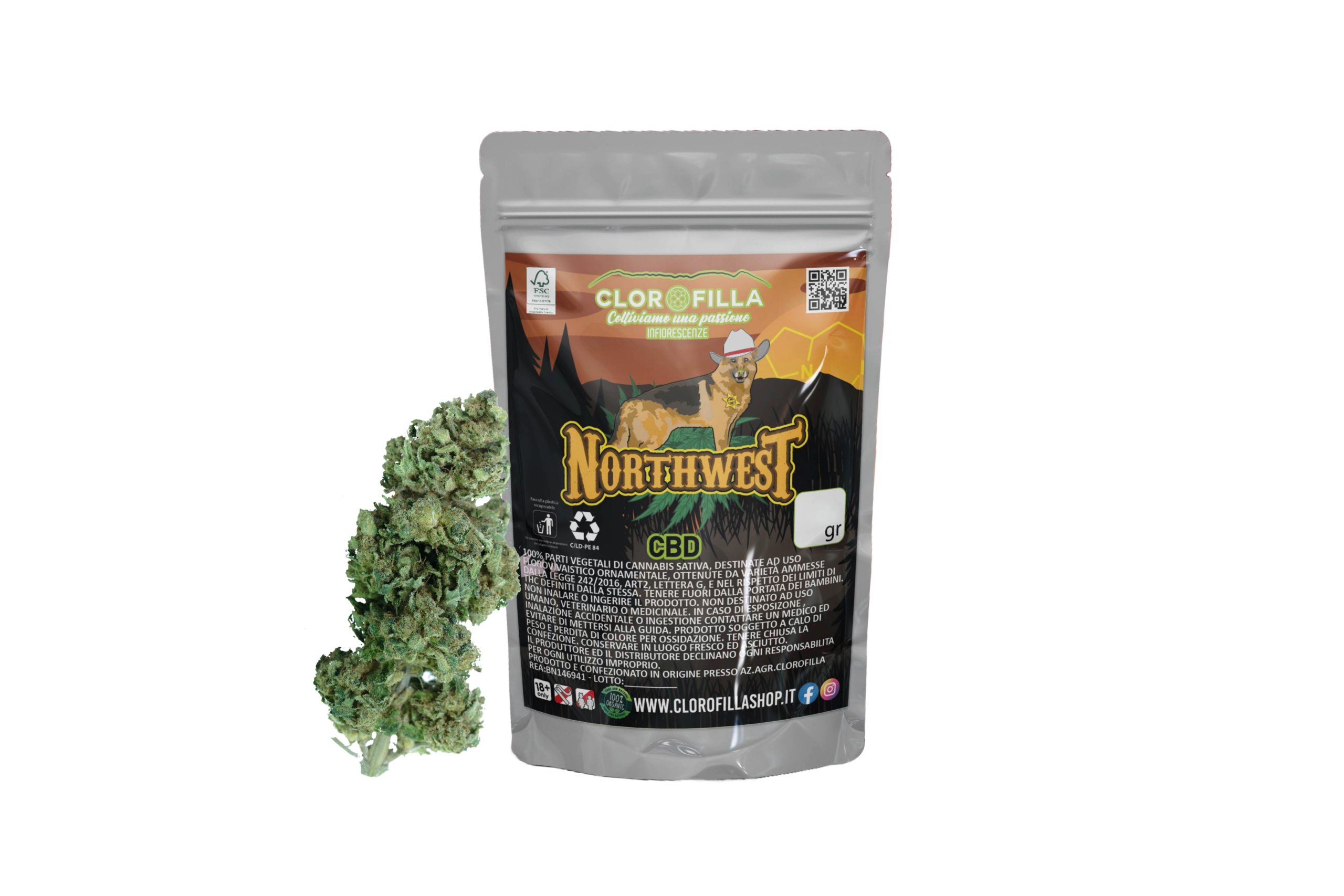 Northwest - immagine 3