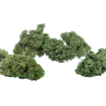fiori di cannabis sativa mix blendmix cbd