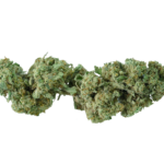 erba legale gorilla mandarine cbd