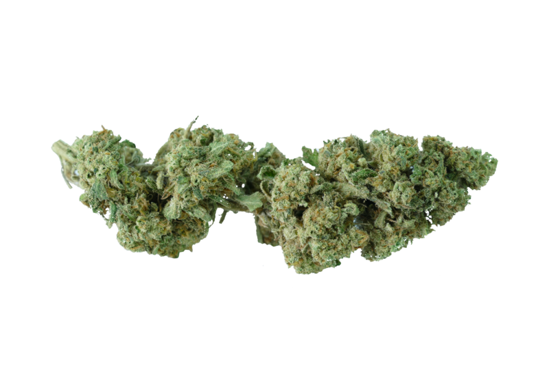 erba legale gorilla mandarine cbd
