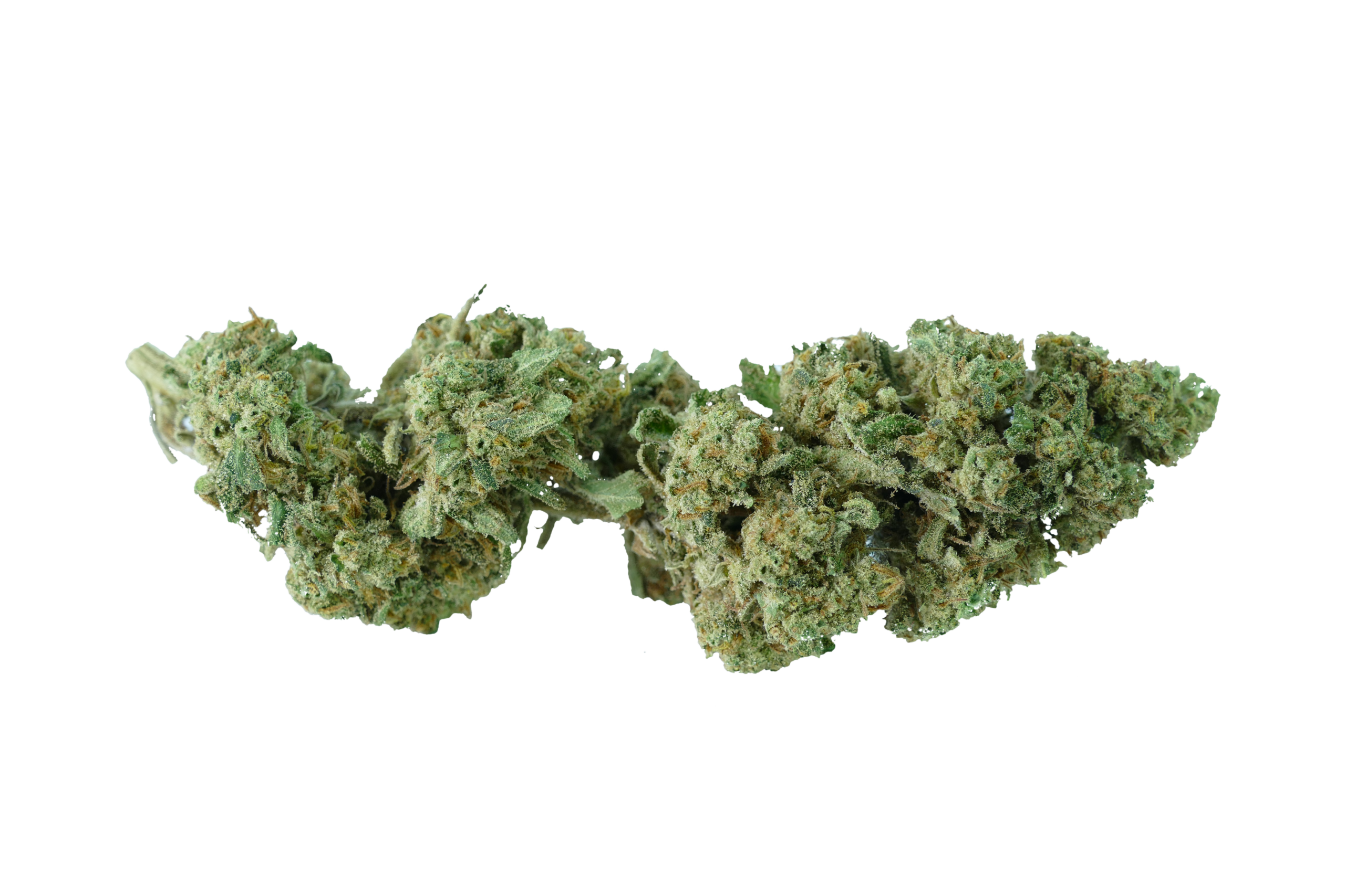 erba legale gorilla mandarine cbd