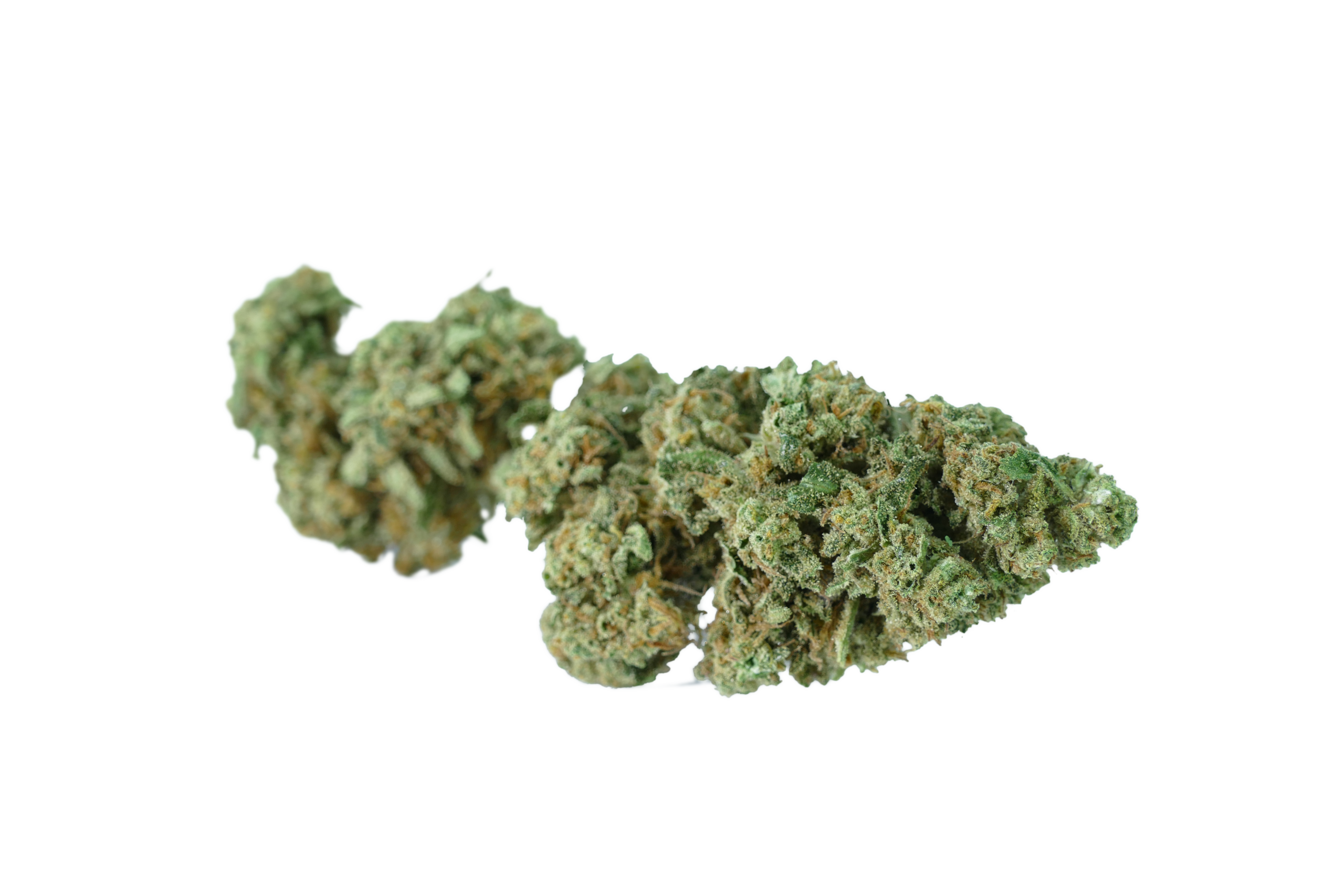 cannabis light cbd gorilla mandarine