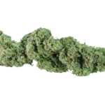 cannabis light cbd grapefruit erba legale