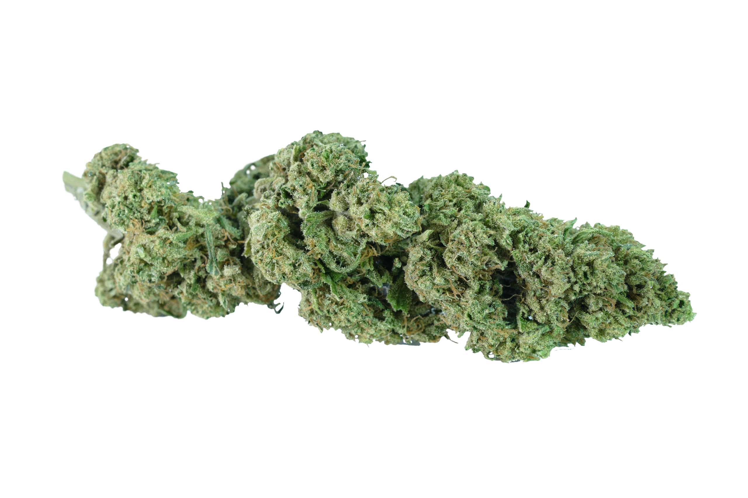 cannabis light cbd grapefruit erba legale