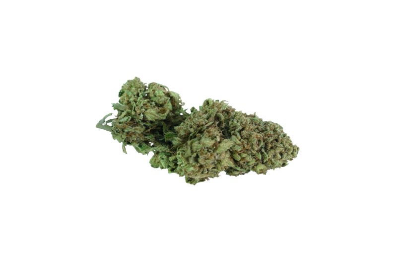 cannabis light cbd pastiera clorofilla
