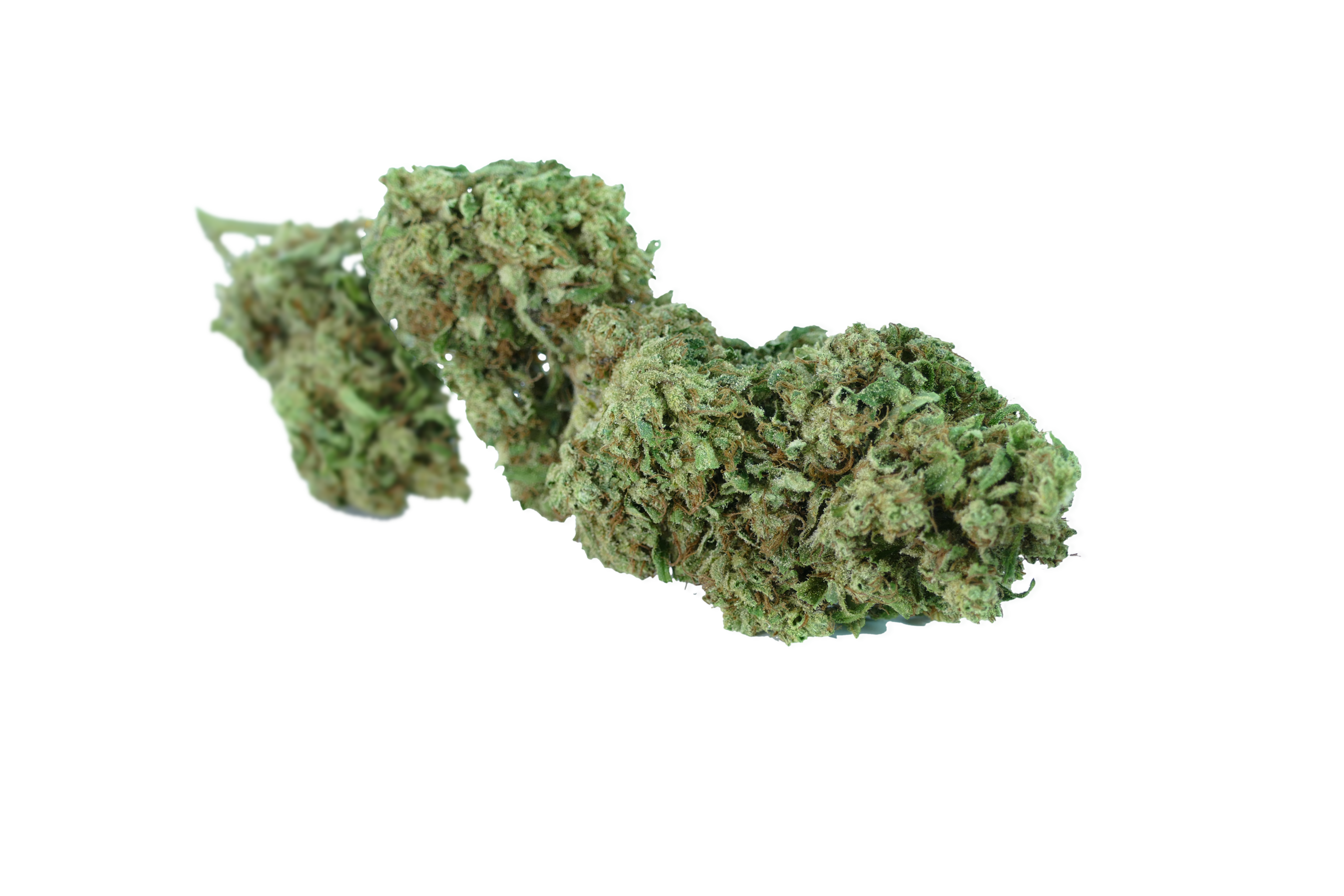 cannabis light cbd strawberry amnesia clorofilla
