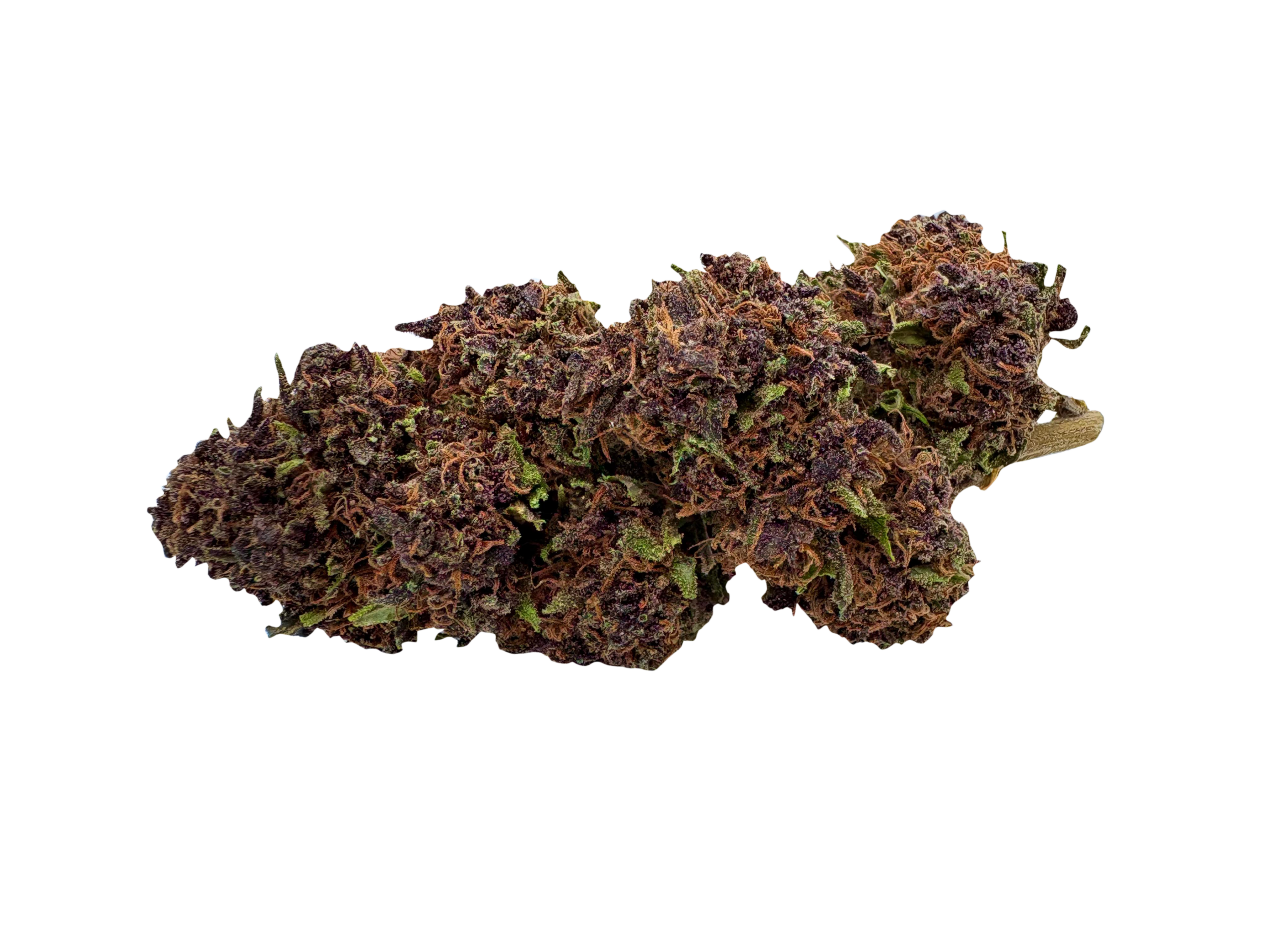Purple Haze - immagine 2